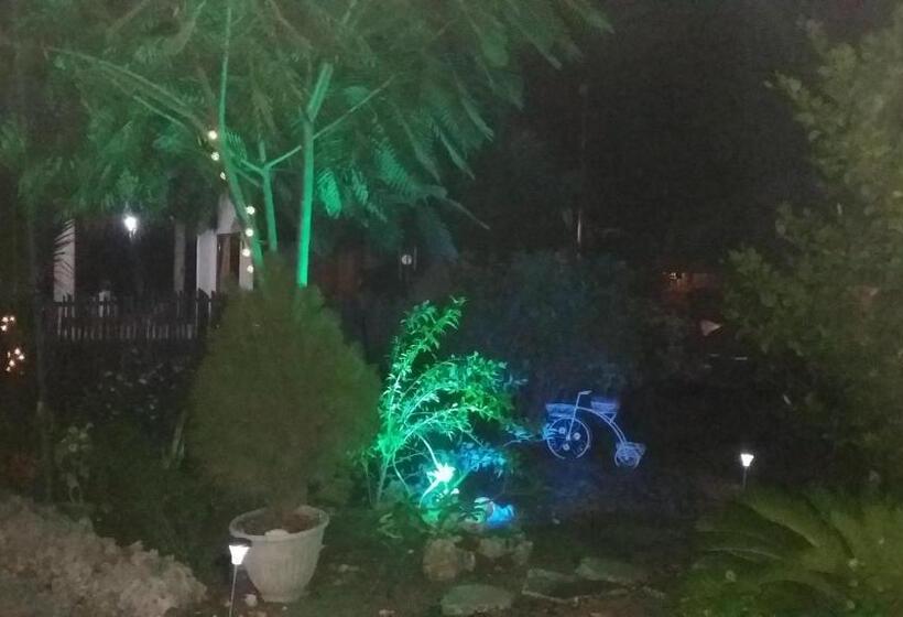 Aamiaismajoitus (B&B) Moalboal Bamboo House / Rooms