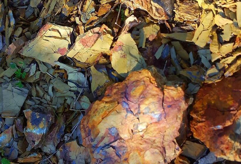 Dimora Storica Nel Cuore Della Toscana