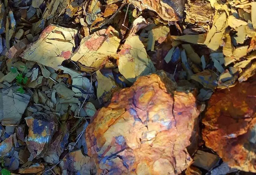 Dimora Storica Nel Cuore Della Toscana