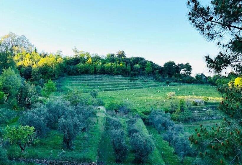 Dimora Storica Nel Cuore Della Toscana
