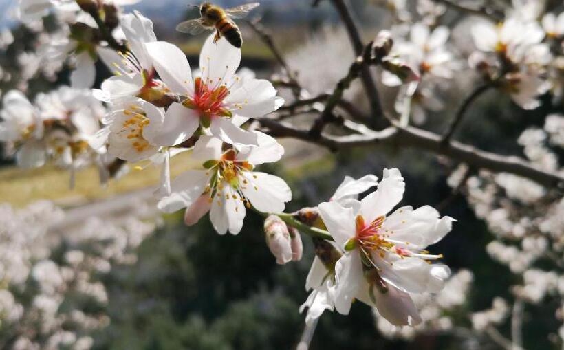 Dimora Storica Nel Cuore Della Toscana