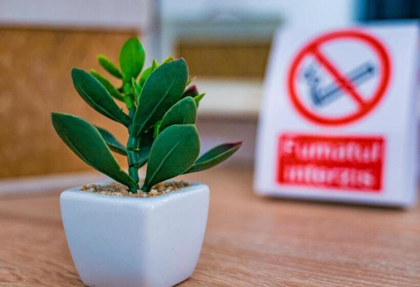 بنسيون Casa In Culori Vama Veche