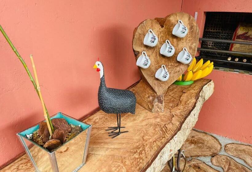 Pensão Ecopousada Perequê   Pontal Do Sul