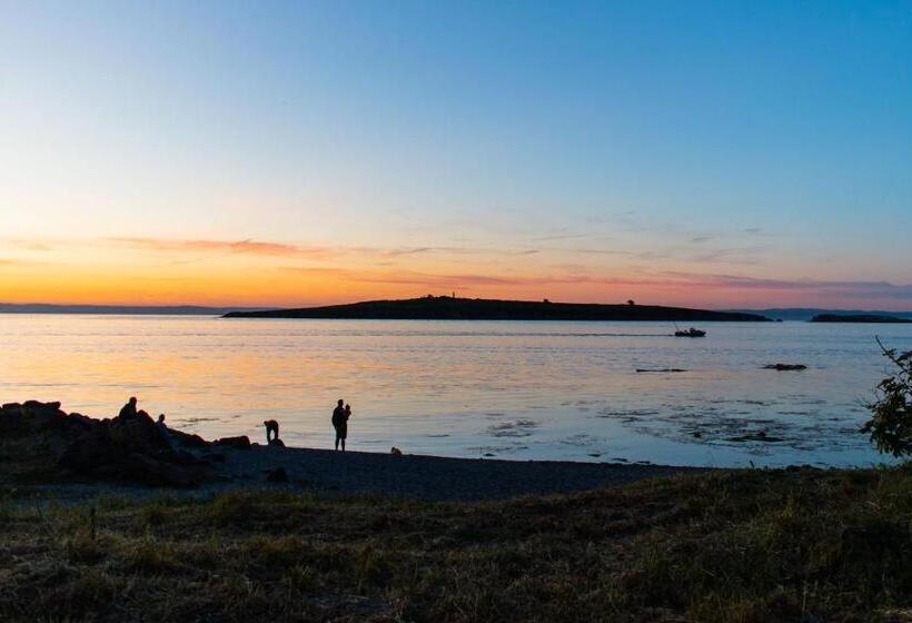 פנסיון House Diona