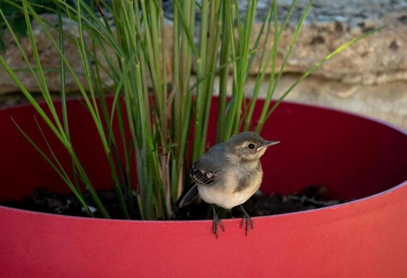 بنسيون La Martinoise Garden