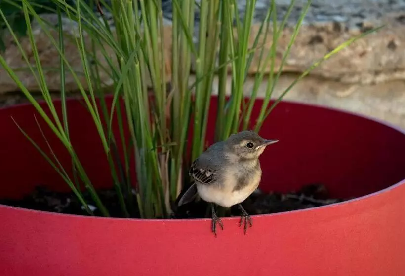 ペンション La Martinoise Garden