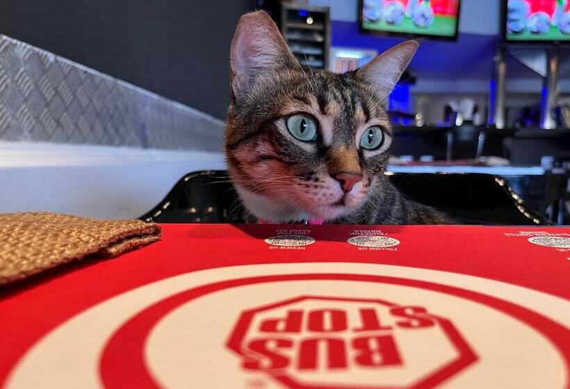 تختخواب و صبحانه Sanafir Hotel El Pacha Suites Sharm Adults Only