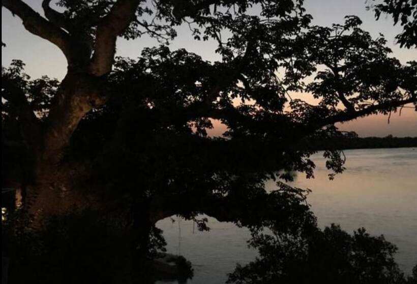 پانسیون Rock And Sea Bubble Lodges