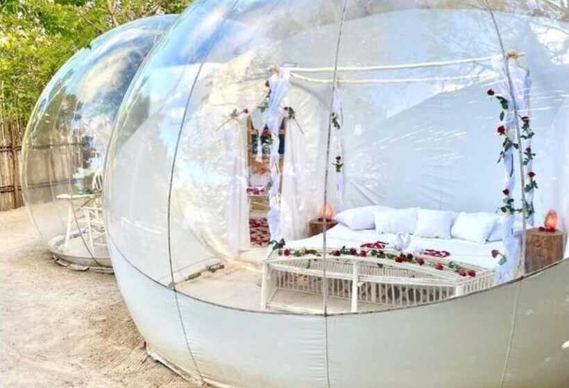 پانسیون Rock And Sea Bubble Lodges