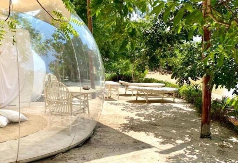 پانسیون Rock And Sea Bubble Lodges