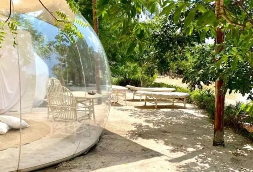 پانسیون Rock And Sea Bubble Lodges