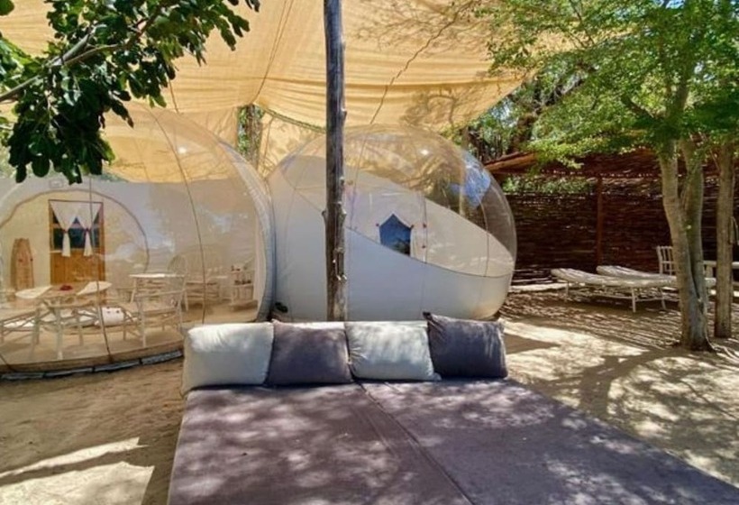 پانسیون Rock And Sea Bubble Lodges