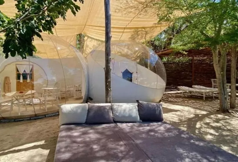 پانسیون Rock And Sea Bubble Lodges