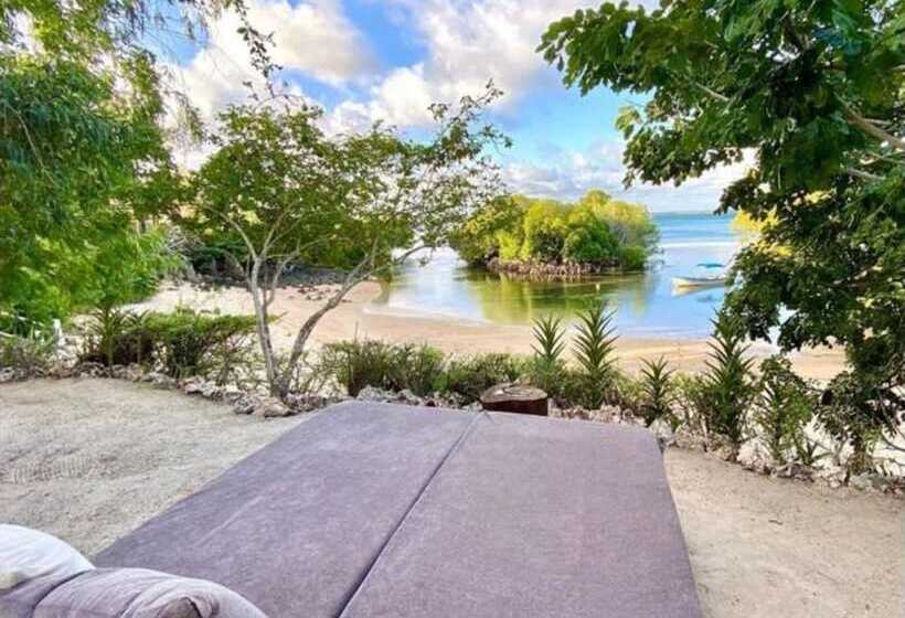 پانسیون Rock And Sea Bubble Lodges