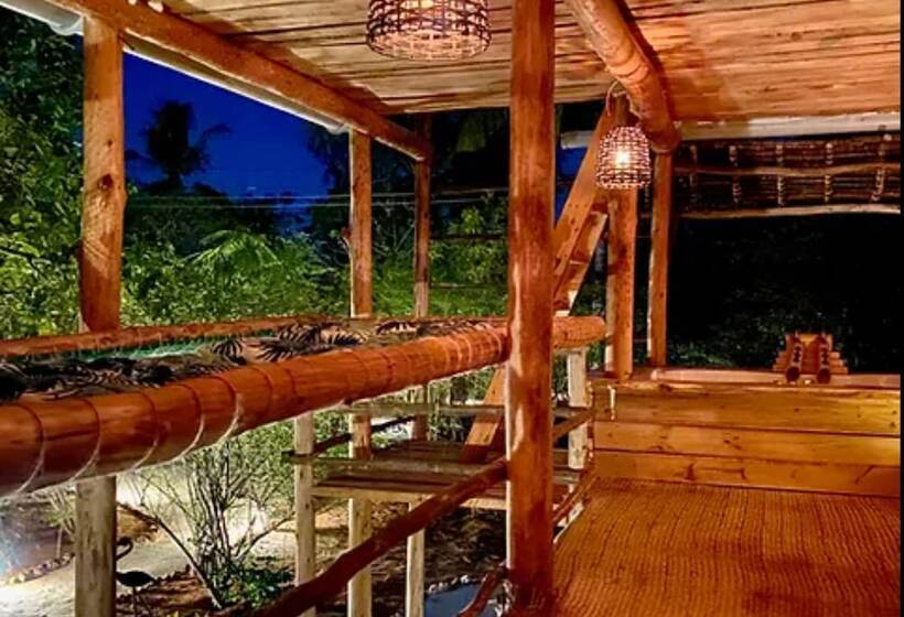 پانسیون Rock And Sea Bubble Lodges