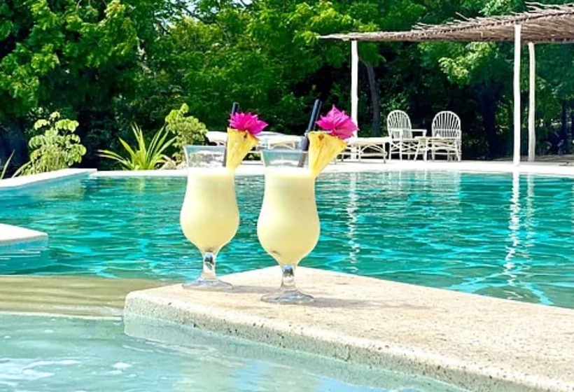 پانسیون Rock And Sea Bubble Lodges