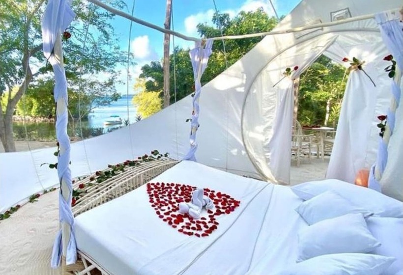 پانسیون Rock And Sea Bubble Lodges