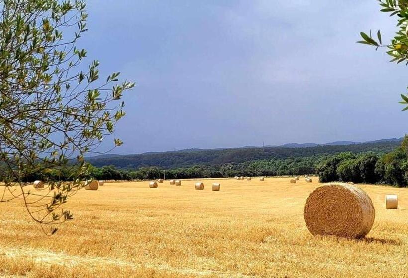 Recientemente Restaurada Ideal Para Grupos