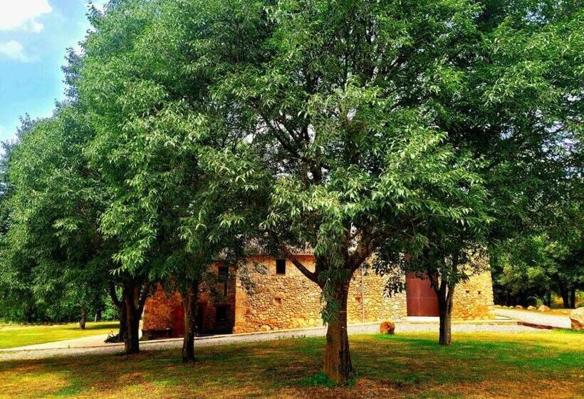 Recientemente Restaurada Ideal Para Grupos