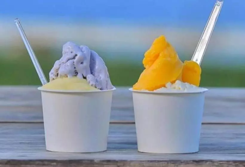 プラスライフ大浜 Room4