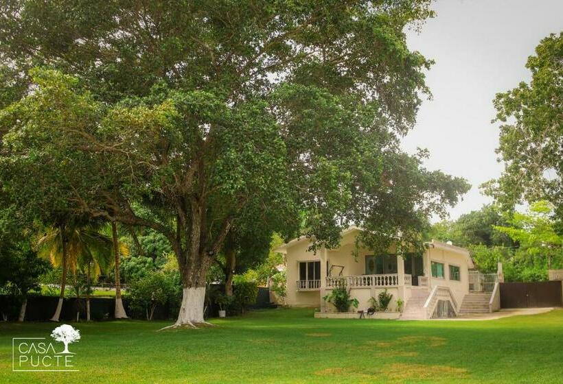 호텔 Casa Pucté Bacalar