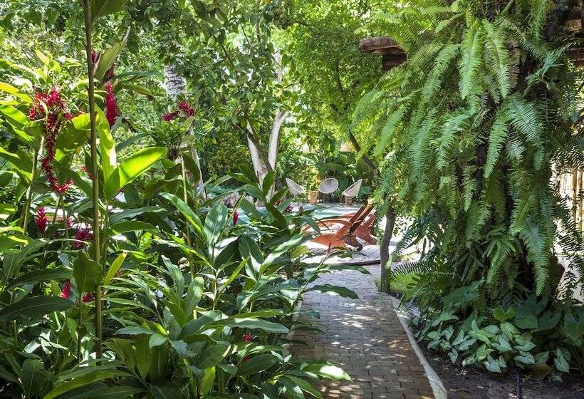 膳宿费 Casa Das águas Trancoso