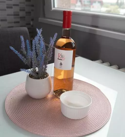 Apartman Danica