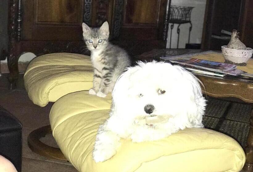 住宿加早餐  Chambre D Hôtes   Les Oliviers