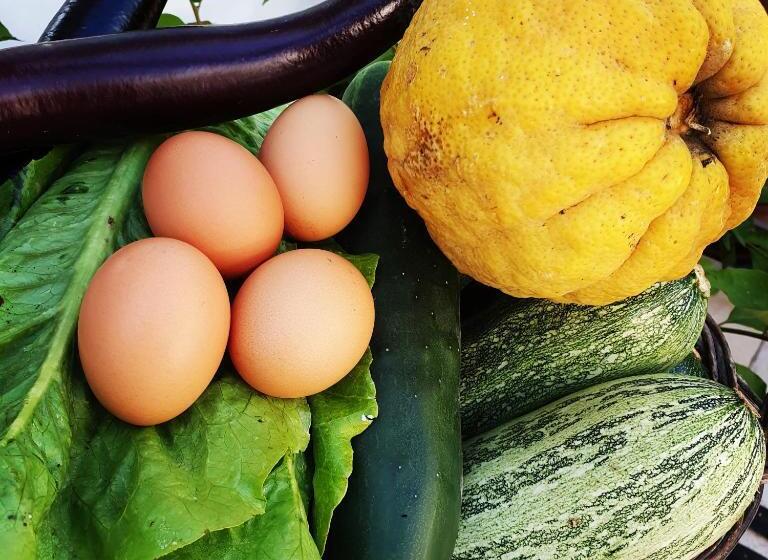 Bed and Breakfast Oasi Di Villa Damecuta