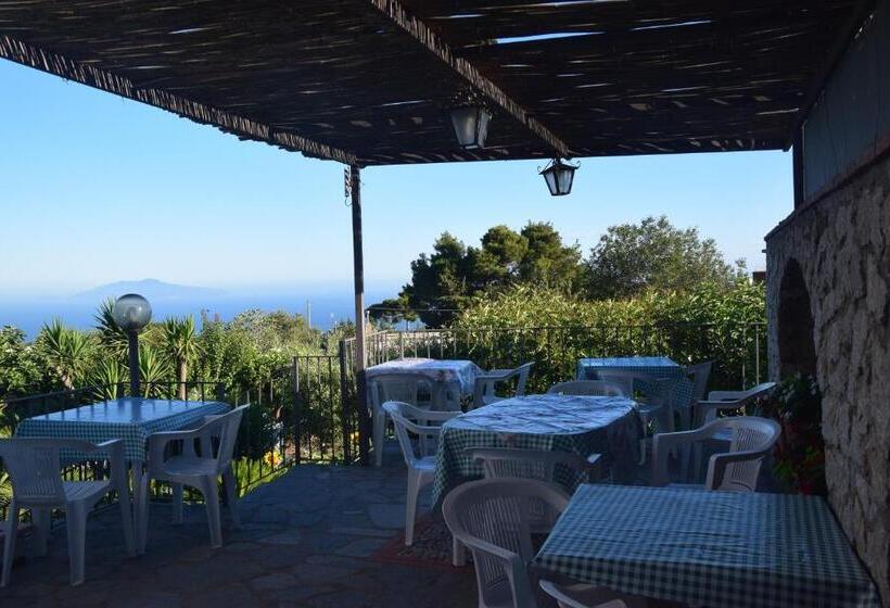 Bed and Breakfast Oasi Di Villa Damecuta