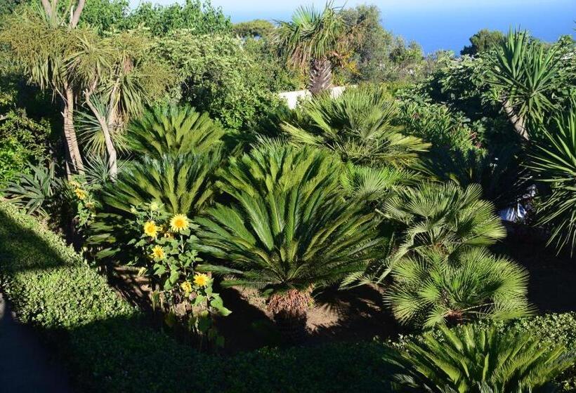 Bed and Breakfast Oasi Di Villa Damecuta