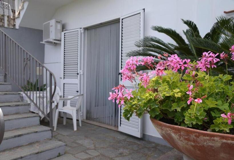 Bed and Breakfast Oasi Di Villa Damecuta