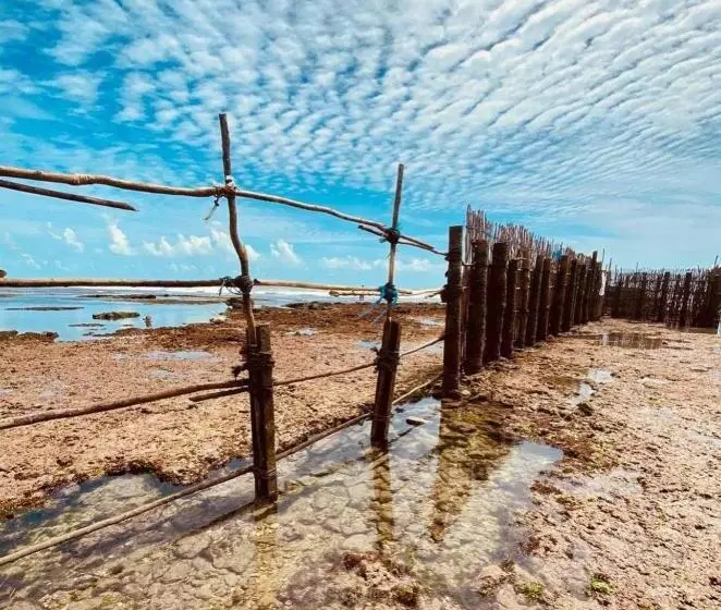 Hotelli Suítes Flecheiras