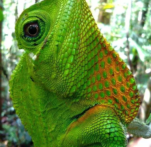 Majatalo Rainforest River Bay