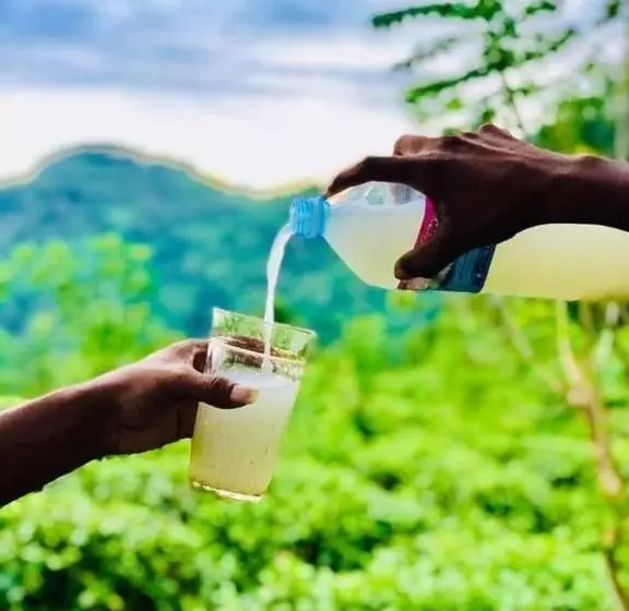 Majatalo Rainforest River Bay