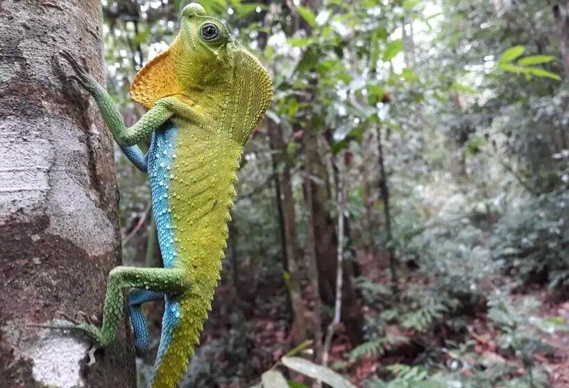 Majatalo Rainforest River Bay