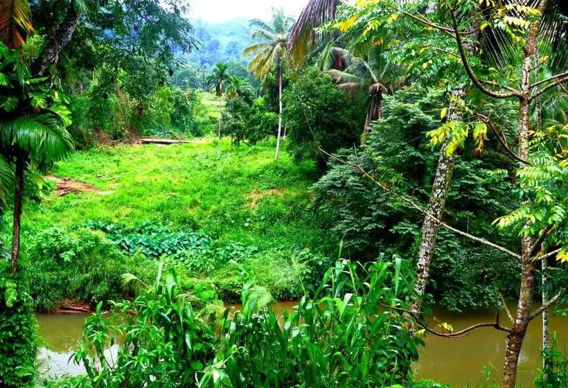 Majatalo Rainforest River Bay