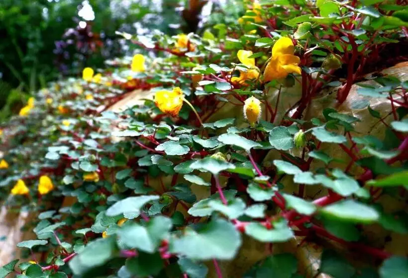 Majatalo Rainforest River Bay