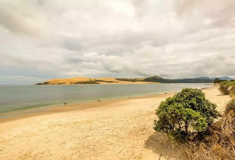 Aamiaismajoitus (B&B) Hokianga Haven