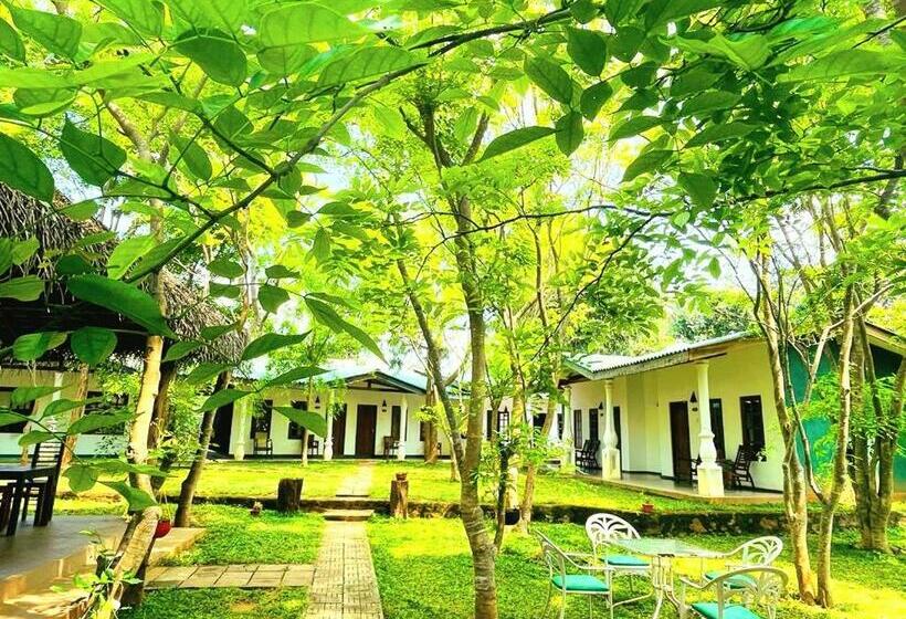 בית מלון כפרי Kingfisher Resort & Retreat Sigiriya