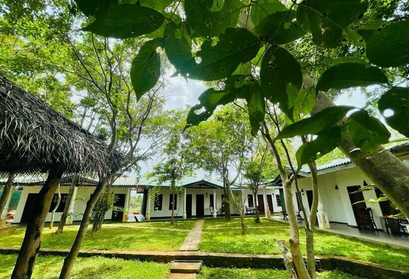 בית מלון כפרי Kingfisher Resort & Retreat Sigiriya