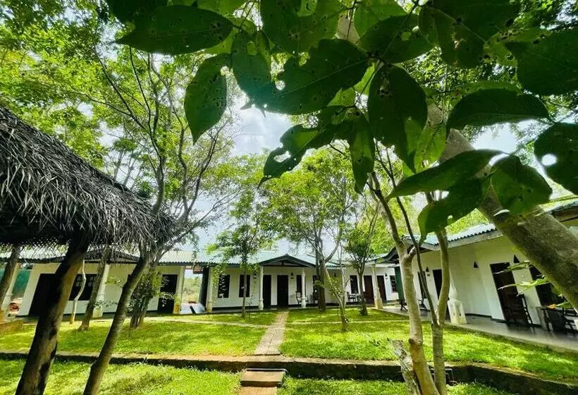 ホテル Kingfisher Resort & Retreat Sigiriya