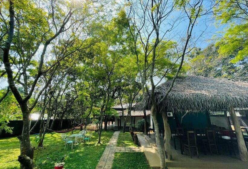 בית מלון כפרי Kingfisher Resort & Retreat Sigiriya