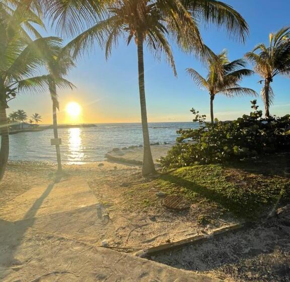 هتل Studio 25 M Manganao Joela 4 Personnes Avec Machine A Laver