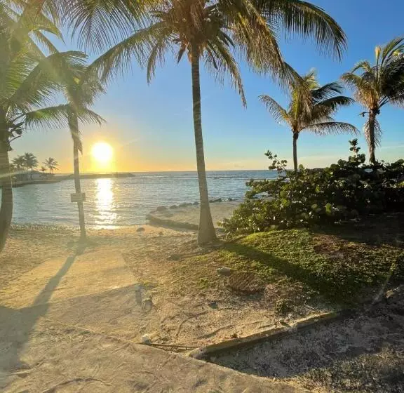 هتل Studio 25 M Manganao Joela 4 Personnes Avec Machine A Laver