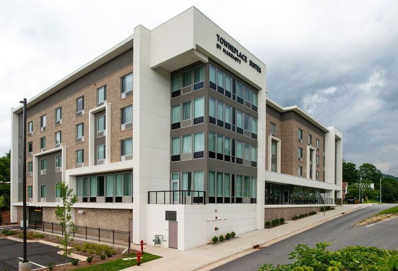 هتل Towneplace Suites By Marriott Asheville Downtown