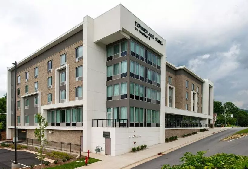 ホテル Towneplace Suites By Marriott Asheville Downtown