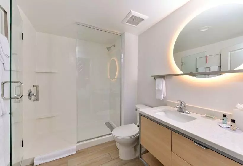 ホテル Towneplace Suites By Marriott Asheville Downtown