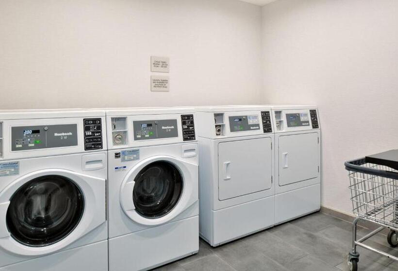 هتل Towneplace Suites By Marriott Asheville Downtown