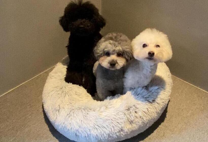 ペンション 1日1組限定 犬と泊まれる古民家宿 Wanco Minca わんこみんか